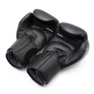 FUJIMAE SAK YANT 2 GNTIA MUAY THAI -total black